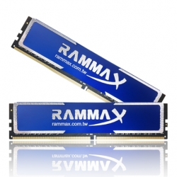 Memory RAM with Heat Sink