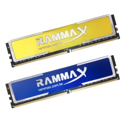 Memory RAM with Heat Sink