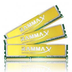 Memory RAM with Heat Sink